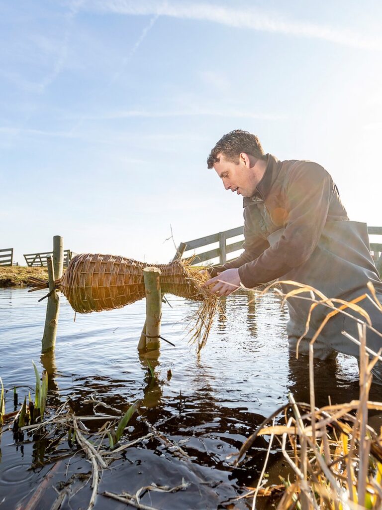 Man in een waadpak plaatst of controleert een eendenkorf tussen twee houten stokken in ondiep water.