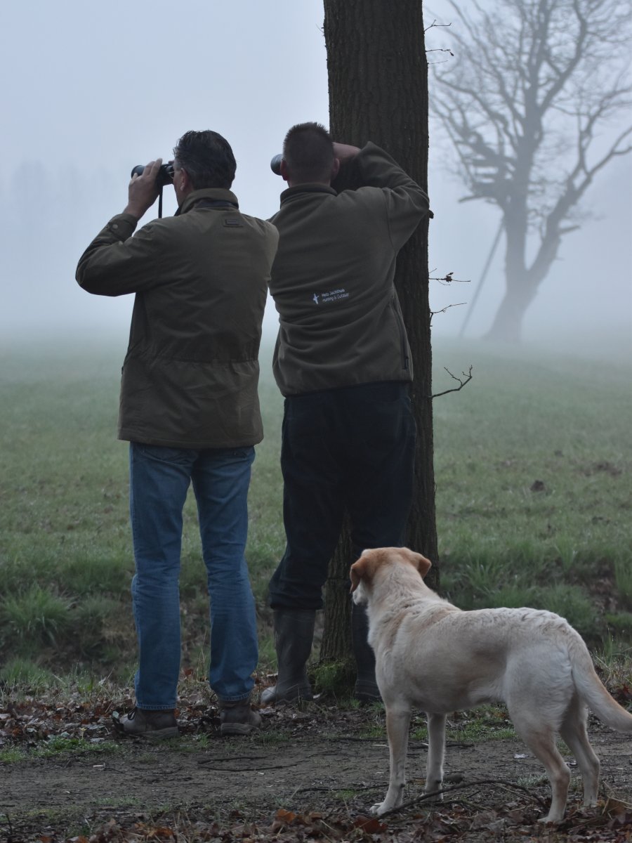 Eendenkorf Eendenkorf, foto: Arie van de Graaf