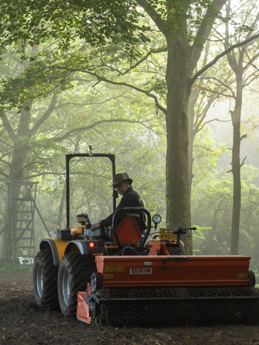 Eendenkorf Eendenkorf, foto: Arie van de Graaf